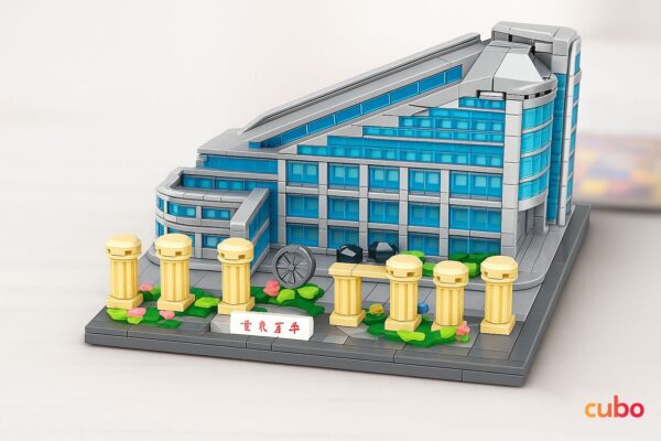 Cubo Assembled Building Blocks - A Renowned University (1939 PCS)